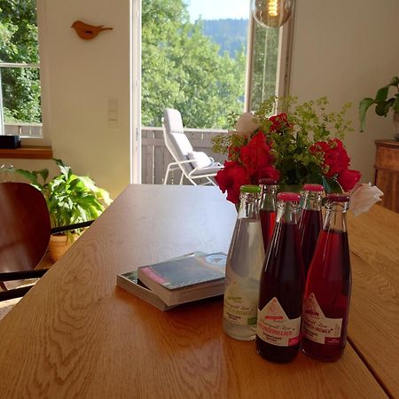 Villa WÄLDER: Quartier Haus im Glück St. Blasien Exterior foto